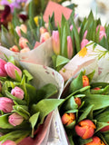 Tulips