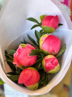 Peonies